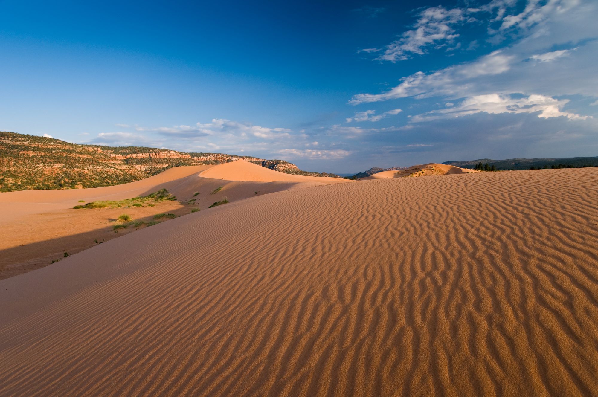 Coral Pink Sand Dunes State Park.